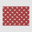 Search for bulldog French bulldog