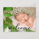Search for baby congratulations postcards Newborn