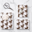 Search for chocolate lab wrapping paper Cute labrador dog