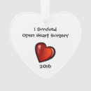 Search for surgery ornaments Heart