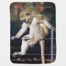 Search for monkey blankets Funny