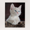 Search for cute puzzles Cat lovers