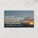 Search for puerto rico business cards Blue