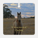 Search for horse memorial ornaments Remembrance