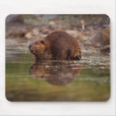 Search for national park mousepads Usa