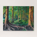 Search for botanical puzzles Forest