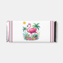 Search for flamingo favors Florida