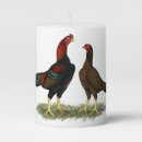 Search for rooster candles Poultry