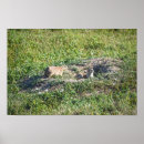 Search for prairie dog gifts South dakota