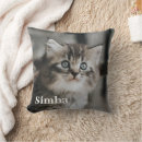 Search for pet photo pillows Christmas holiday