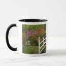Search for charleston mugs Colorful