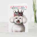 Search for bichon frise cards Pets