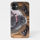 Search for english bulldog iphone cases Dog lover