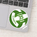 Search for green and white volleyball For kids