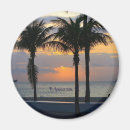 Search for fort lauderdale magnets Palm trees