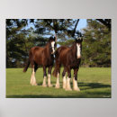 Search for draft horse art Animal