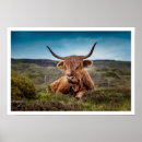 Search for highland cow art Farm animals