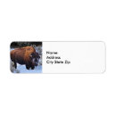 Search for wildlife return address labels Snow
