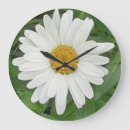 Search for daisy clocks Flowers