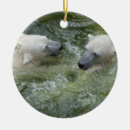 Search for polar bears ornaments Ursus maritimus
