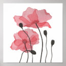Search for botanical illustration posters Elegant