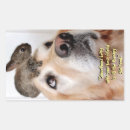 Search for friendship stickers Pals