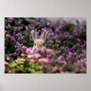 Search for farm posters Superstock