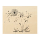 Search for dandelion art Weeds