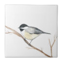 Search for bird tiles Animal