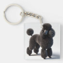 Search for black poodle gifts Pet