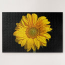 Search for sunflower puzzles Yellow