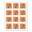 Search for tattoo lovers gifts Dog