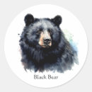 Search for black bear stickers Wildlife