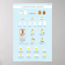 Search for infographic posters Cooking