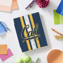 Search for college ipad cases The big c