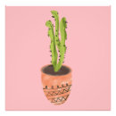 Search for succulent signs Summer