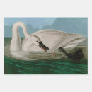 Search for swan wrapping paper Animal
