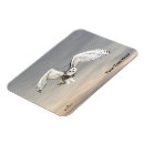 Search for snowy owl gifts Bubo scandiacus