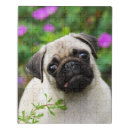 Search for pug puzzles Funny