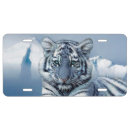 Search for white tiger gifts Tigers