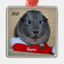 Search for chinchilla ornaments Pet