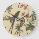 Search for hummingbirds clocks Botanical