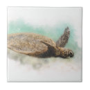 Search for turtle tiles Teal