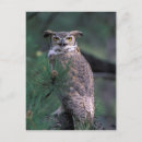 Search for colorado springs postcards Usa