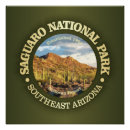 Search for tucson posters Sonoran desert