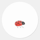 Search for ladybug stickers Insect