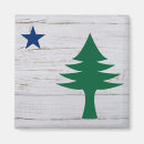 Search for maine Pine tree