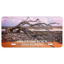 Search for georgia license plates Beach