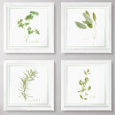 Search for kitchen herb art Green