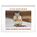 Search for chipmunk gifts Cute animals